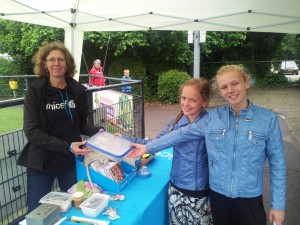 Zomerfeest Hazerswoude Rijndijk