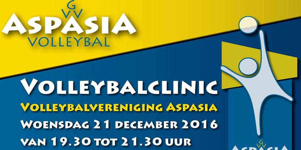 aspasia, volleybal, clinic, bert goedkoop