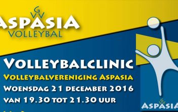 aspasia, volleybal, clinic, bert goedkoop