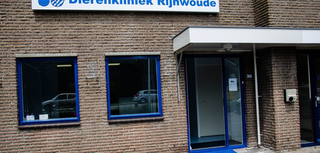 foto: Dierenkliniek Rijnwoude