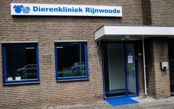 foto: Dierenkliniek Rijnwoude